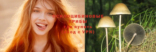 скорость Баксан