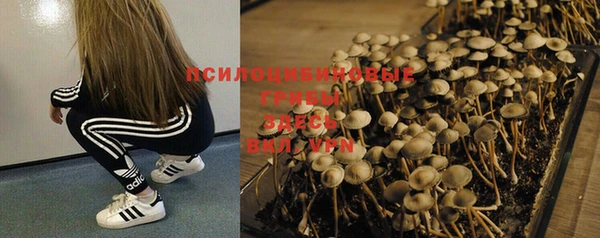 стафф Балахна