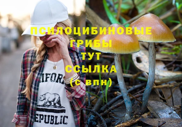 скорость Баксан